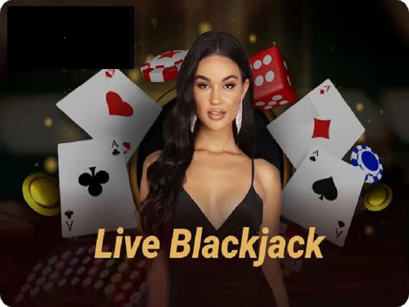 Chương trình đại lý K8VN hoa hồng 50%